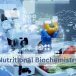 The Comprehensive Guide to Nutritional Biochemistry Understanding the Science Behind What You Eat